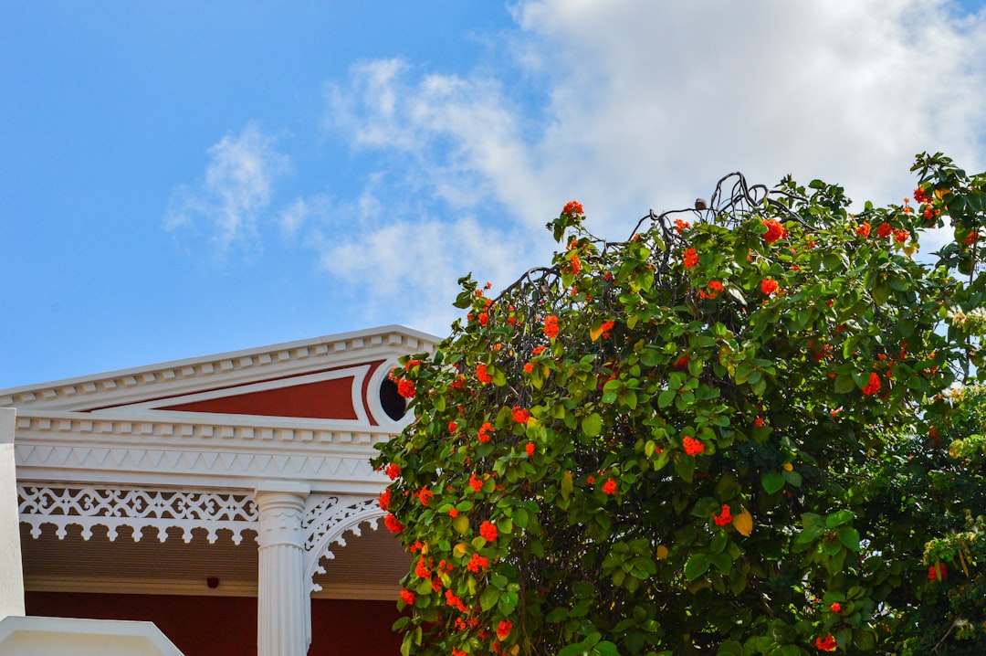 Photo Caribbean flags